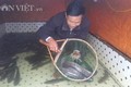 Ông Nguyễn Văn Vinh làm giàu từ nuôi cá lóc sộp và quất quả vàng chơi Tết