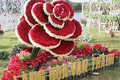 Làng hoa thứ hai ở Lâm Đồng trở thành vùng nông nghiệp ứng dụng công nghệ cao