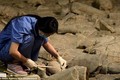 Trung Quốc khai quật khu lăng mộ có niên đại hơn 1.500 năm tại tỉnh Thiểm Tây