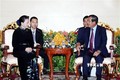 国会主席阮氏金银会见柬埔寨首相洪森