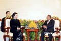越南国会主席阮氏金银会见柬埔寨国会主席韩桑林