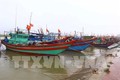 坚江省严厉打击渔民渔船非法越界捕捞现象
