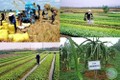 永福省投入逾4万亿越盾发展新农村建设计划