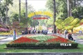 Hội hoa Xuân Kỷ Hợi tại Thành phố Hồ Chí Minh mở cửa từ ngày 31/1 đến 10/2
