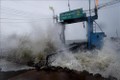 热带风暴“帕布”登陆泰国南部 居民被迫撤离避难