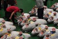 Nhật Bản: Cá ngừ khổng lồ có giá hàng triệu USD