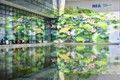 内排国际机场巨型壁画作品给乘客留下深刻印象