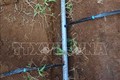 Đắk Nông chủ động phòng chống hạn đầu mùa khô