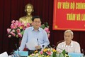 政府副总理王廷惠：同奈省应促进城镇化与工业化协调发展