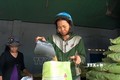 Phú Yên cấp lúa giống hỗ trợ nông dân sản xuất vụ Đông Xuân