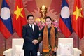 越南国会主席阮氏金银会见老挝政府总理通伦·西苏里