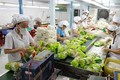 越南蔬菜水果迎来对亚欧市场出口的机会