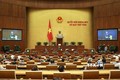 越南第十四届国会第八次会议：对另外两部法案提出意见