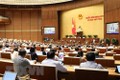 越南第十四届国会第八次会议：国会代表分组讨论三部法案
