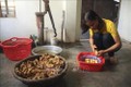 Chị Mai Thị Tuyết Sương khôi phục và phát triển nghề làm bánh nổ truyền thống