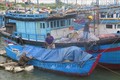 Ứng phó với bão số 5: Những hộ nuôi trồng thủy sản trên biển tại Phú Yên đang hoàn tất việc di chuyển vào bờ