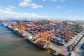 越南政府总理批准海防国际港口下辖两个国际集装箱码头的投资项目