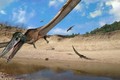 Phát hiện hóa thạch khủng long mới tại Australia