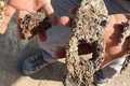 Israel phát hiện đinh và búa sắt 1.400 năm tuổi