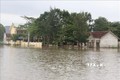 Thực hiện nghiêm chỉ đạo của Phó Thủ tướng về ứng phó với mưa lũ và khắc phục hậu quả bão số 5 