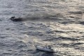 越南6名船员在韩国济州岛附近海域失联