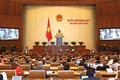 越南第十四届国会第八次会议：健康竞争 吸引投资者