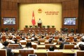 越南第十四届国会第八次会议：讨论两部法案