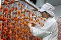 采用日本技术的柿饼生产厂正式投运