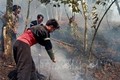 Huyện vùng cao Trạm Tấu chủ động phòng chống cháy rừng mùa khô hanh
