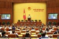 越南第十四届国会第八次会议：对六部法案和决议进行表决