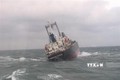 越南职能机关成功救助海上遇险的18名外国船员
