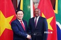 越南政府副总理王廷惠与南非副总统戴维会谈