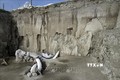 Mexico phát hiện hóa thạch xương voi ma mút nhiều nhất từ trước đến nay