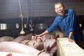 Lão nông Nguyễn Bá Hữu biến vùng "đất chết" thành trang trại tiền tỷ