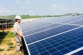 世行协助越南为太阳能竞拍项目动员私人资本参与基建