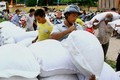 Hỗ trợ bổ sung gạo cho đồng bào dân tộc tham gia chăm sóc, bảo vệ rừng tỉnh Nghệ An