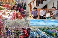 越南政府总理要求采取措施确保人民过上一个安全快乐的春节