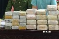 乂安省：查获一起贩卖毒品案 缴获18公斤冰毒和30块海洛因砖