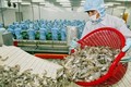 越南虾类对美国出口有望提升