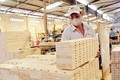 今年前11月越南木材和木制品出口额达94.5亿美元
