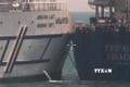 马来西亚轮船与希腊轮船相撞