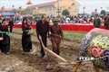 Phó Thủ tướng Trương Hòa Bình thực hiện nghi lễ cày tịch điền tại tỉnh Hà Nam