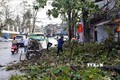 安沛省、老街和宣光三省遭受龙卷风和大暴雨袭击多间房屋受损