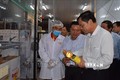 农业与农村发展部部长阮春强：越南是查鱼产业的潜在市场