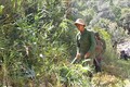 Đắk Lắk chủ động phòng chống cháy rừng mùa khô