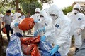阮春福总理指示采取紧急措施控制非洲猪瘟疫情