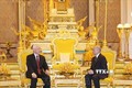 阮富仲访柬：两国发表联合声明