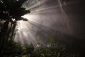 Chùm ảnh: Vẻ đẹp của Sơn Đoòng, hang động tự nhiên lớn nhất thế giới