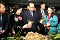 朝鲜劳动党代表团参观丹淮合作社兰花种植模式