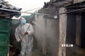 越南各地严查市场 抓好非洲猪瘟疫情防控工作 